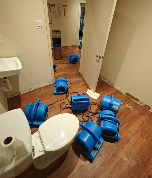 Cover photo of Mr Water Damage Restoration Los Angeles